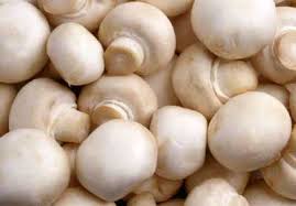 White Button Mushrooms